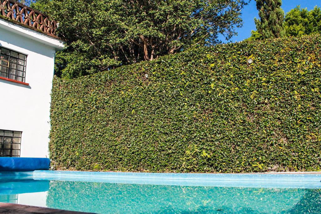 Milcoapa Hotel Tepoztlán Eksteriør billede